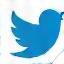 Twitter icon